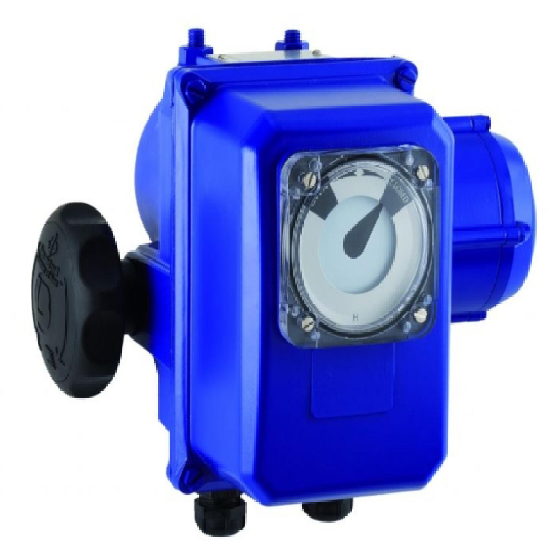 BERNARD CONTROLS BCI0038138 SQ25 A IP67 Switch 3 50Hz 400 V 30s