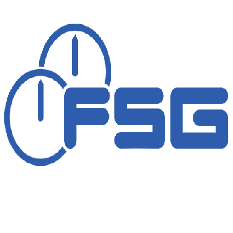 FSG 5930Z50-002.008 is a custom configuration featuring a potentiometer combination of Typ SL3005-X1/GS130/K/F-01.