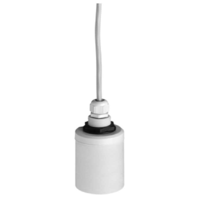 ENDRESS + HAUSER FDU91-RG2AA is an ultrasonic sensor