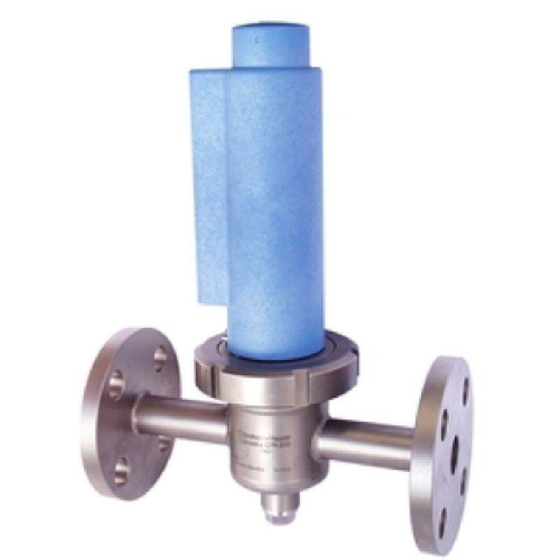 E+H CPA240-30AE110 Flow assembly
