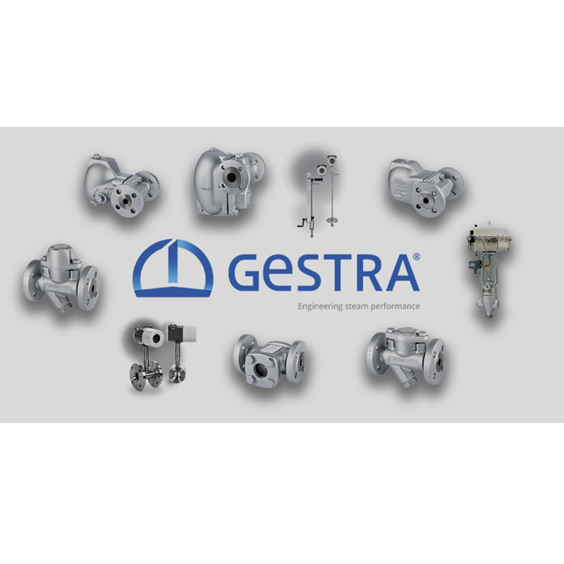 GESTRA EF 0.7 G 1/2